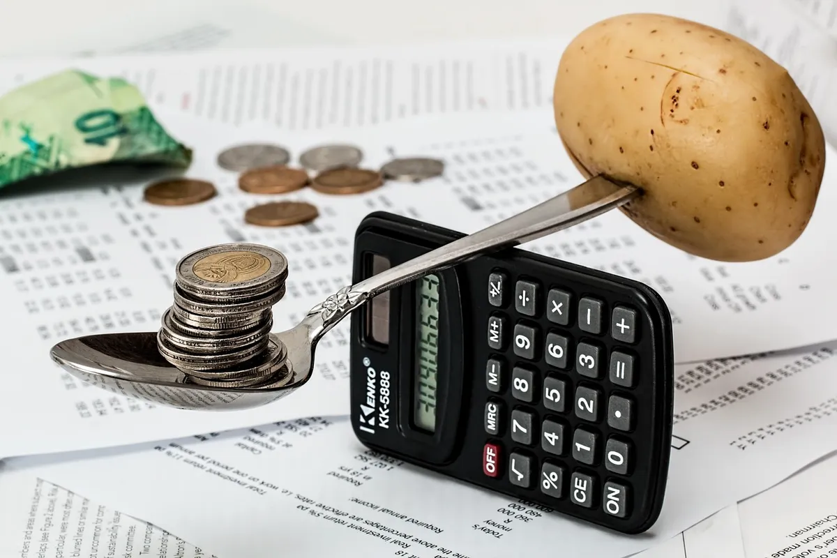 coins, calculator, budget, household budget, money, cash, currency, saving, accounting, market, calculation, earning, planning, income, finance, shopping, cost