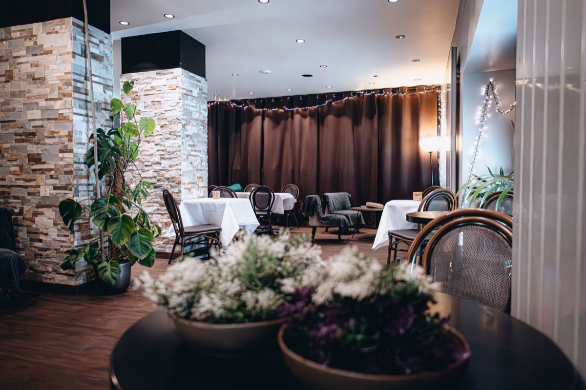 Ristorante vegan islandese