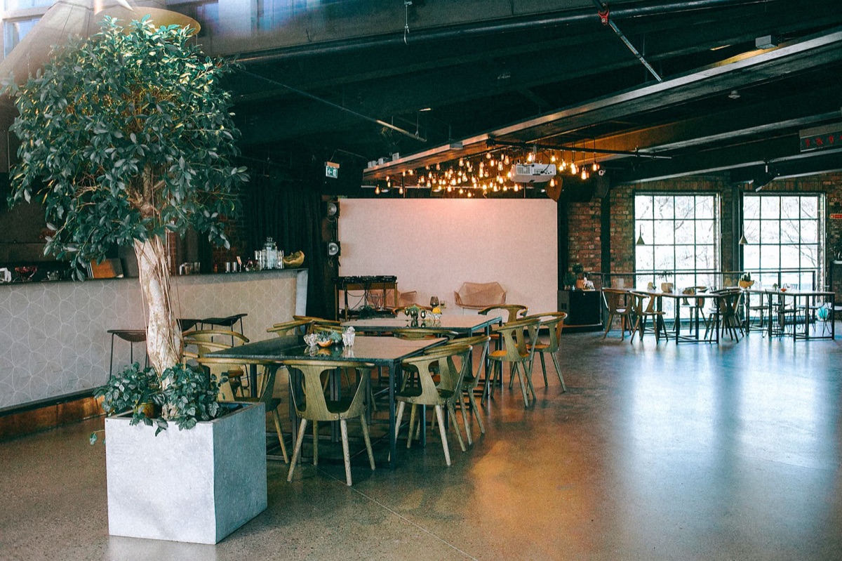 Ijslandse vegan restaurant interieur met lokale gerechten