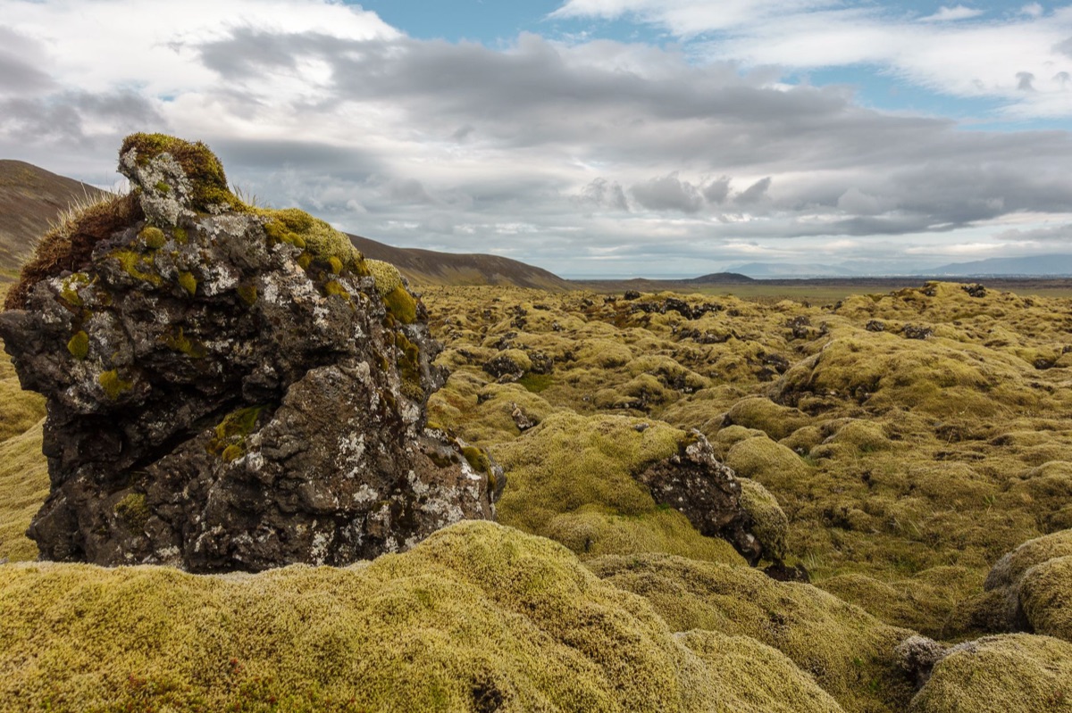 Lava field in Icelandic night