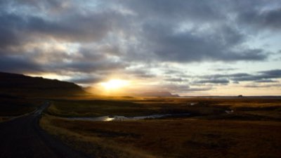 Icelandic Food: Sourcing Local Ingredients for Your Trip