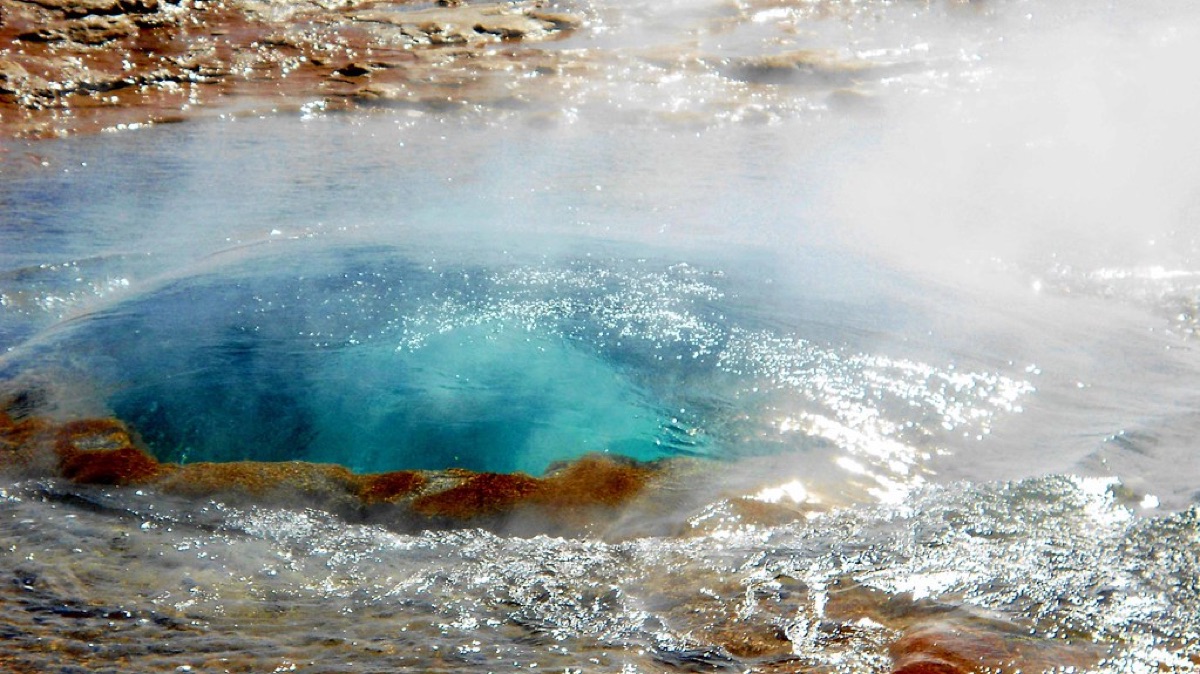 Ijslandse zomerspreeuwen met blauwe water